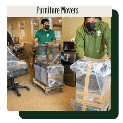 Furniture Movers