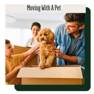 Moving With A Pet